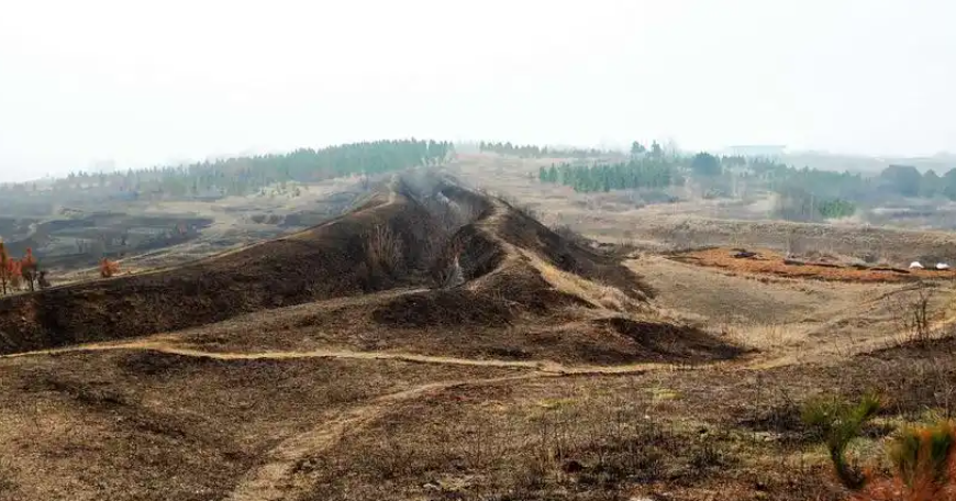 清明將至嚴防山火，輸電線路防山火在線監(jiān)測裝置筑牢山林間的電力安全防線